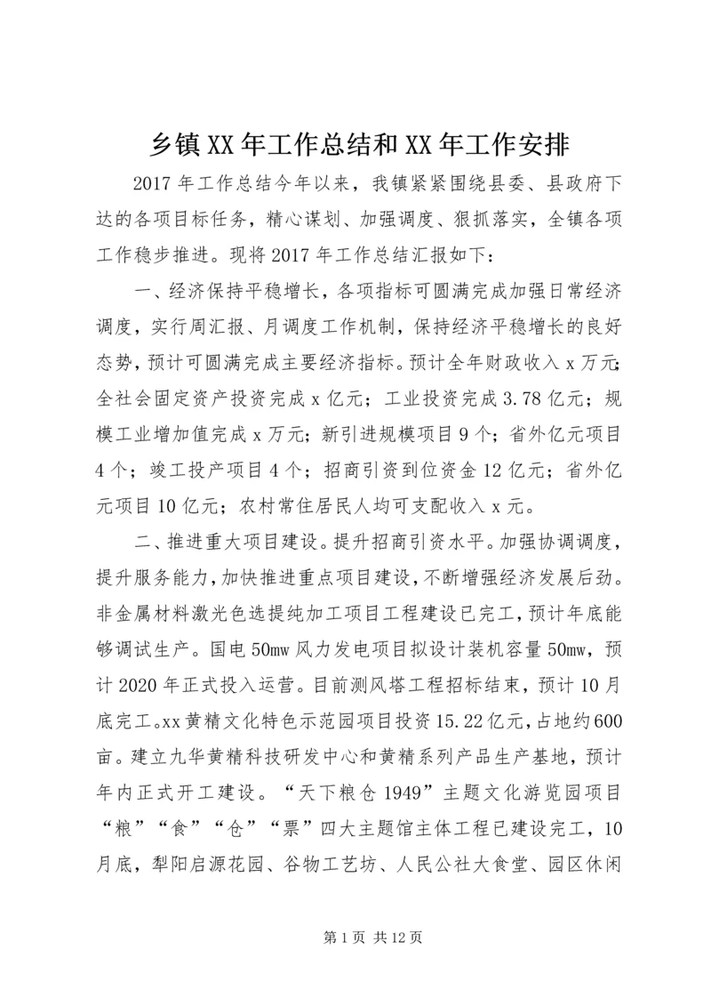 乡镇某年工作总结和某年工作安排.docx