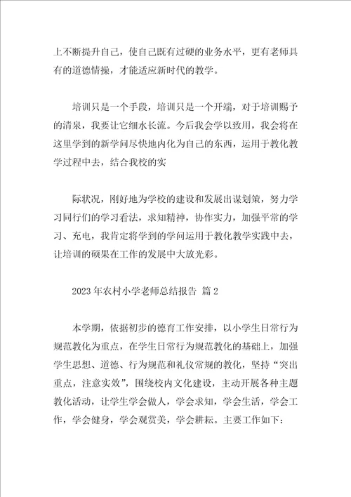 2023年农村小学教师总结报告