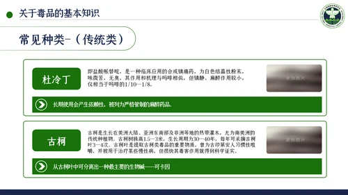 国际禁毒日珍爱生命远离禁毒教育模板