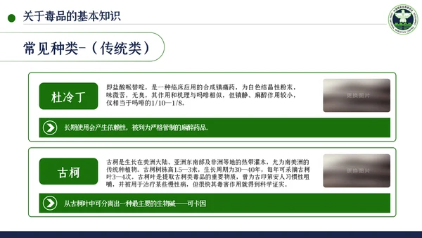 国际禁毒日珍爱生命远离禁毒教育模板