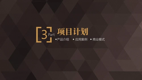 轻奢质感商业项目计划书通用PPT模板
