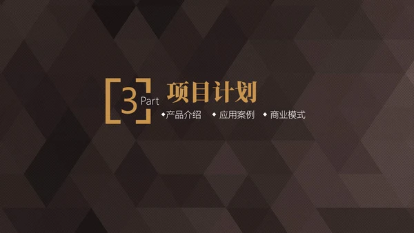 轻奢质感商业项目计划书通用PPT模板