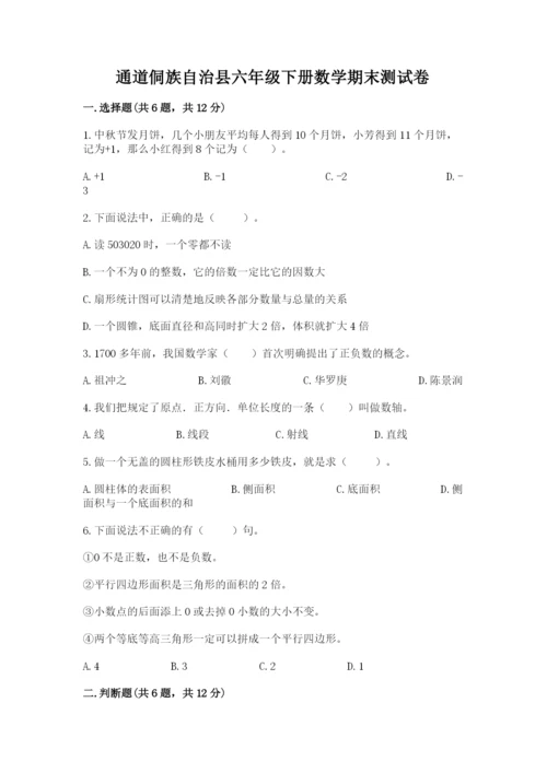 通道侗族自治县六年级下册数学期末测试卷精品有答案.docx