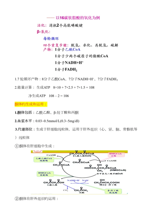 2023年生物化学脂质代谢知识点总结.docx
