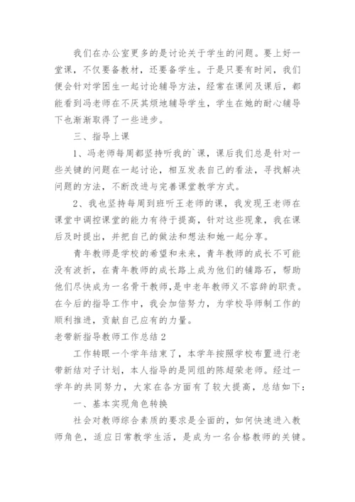 老带新指导教师工作总结.docx