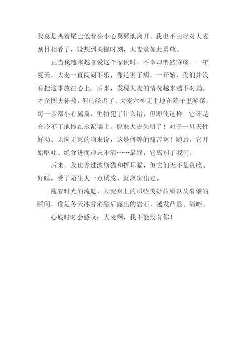 不能没有你作文800字-4.docx