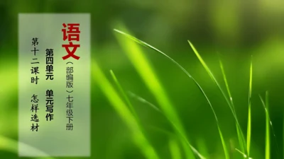 第12课时 七年级语文下册第四单元 怎样选材 -【大单元教学】课件(共46张PPT)