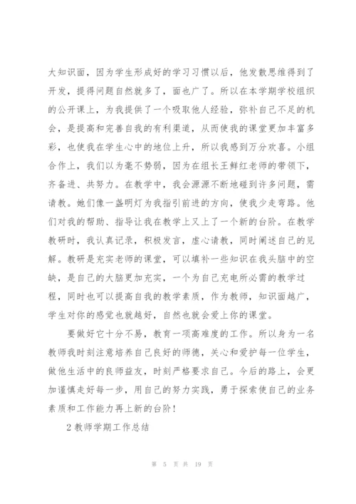 教师学期工作总结怎么写5篇.docx