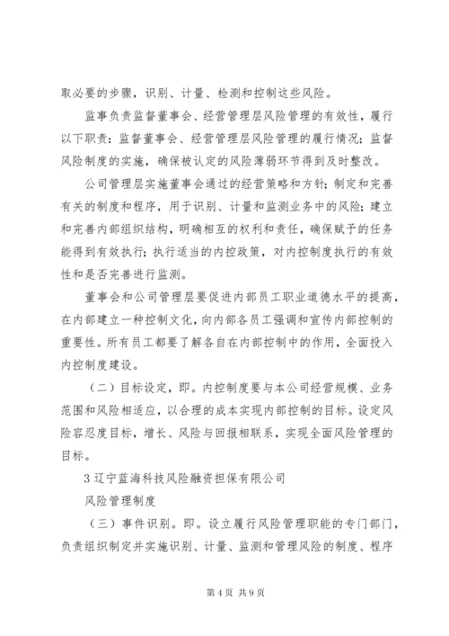 XX公司风险管理制度.docx