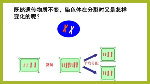 2.2.1细胞通过分裂产生新细胞课件2023--2024学年人教版生物七年级上册(共28张PPT)