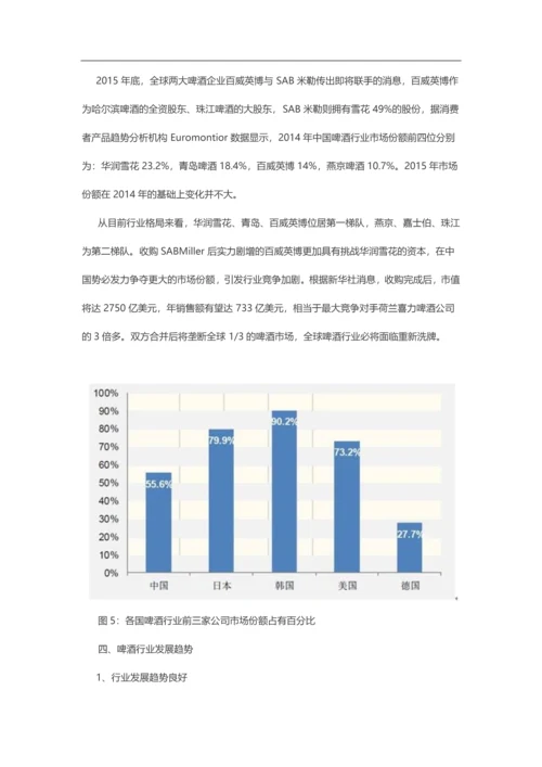 啤酒行业分析报告.docx