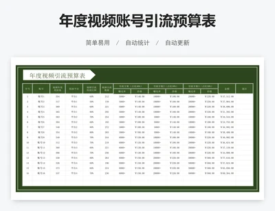 年度视频账号引流预算表