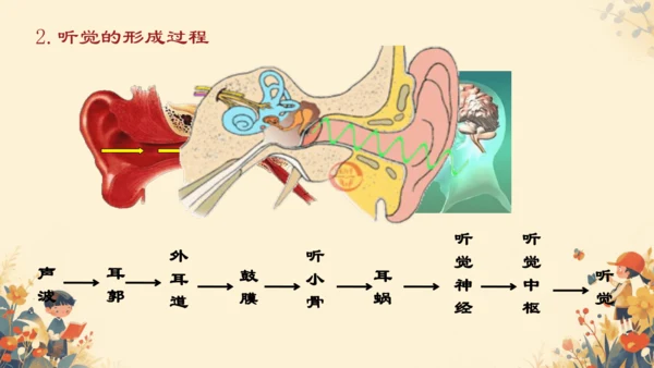 4.6.1  人体对外界环境的感知课件(共20张PPT)人教版 七年级下册