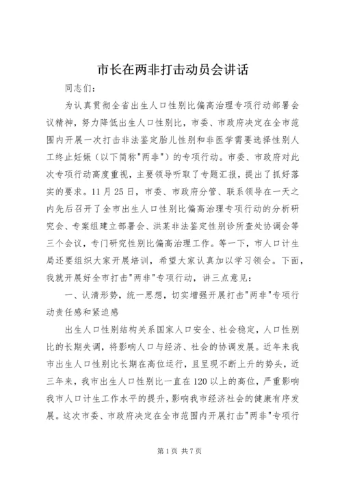 市长在两非打击动员会讲话.docx