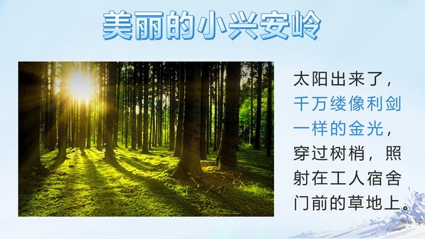 部编版三年级上册第二十课美丽的小兴安岭PPT模板