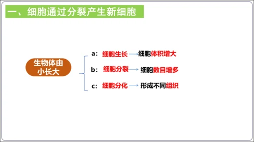 【2023秋人教七上生物期中复习考点梳理串讲+临考押题】第二章 细胞怎样构成生物体（串讲课件）(共2