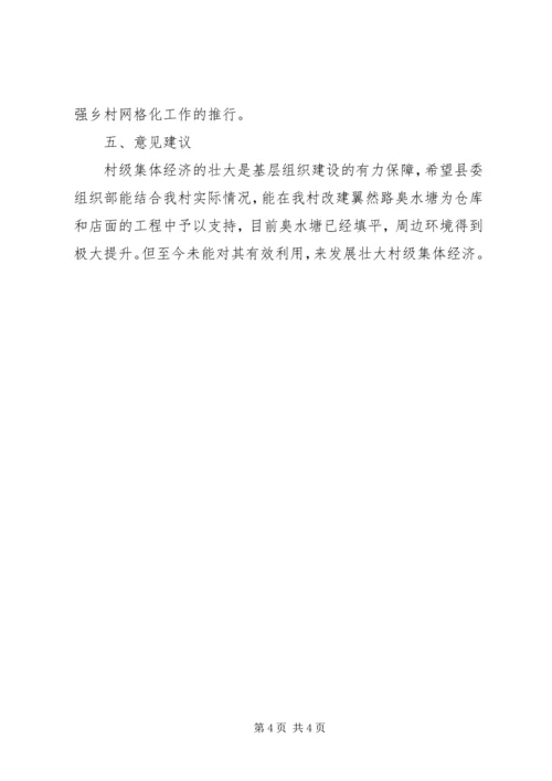 村党支部书记助理工作汇报材料.docx