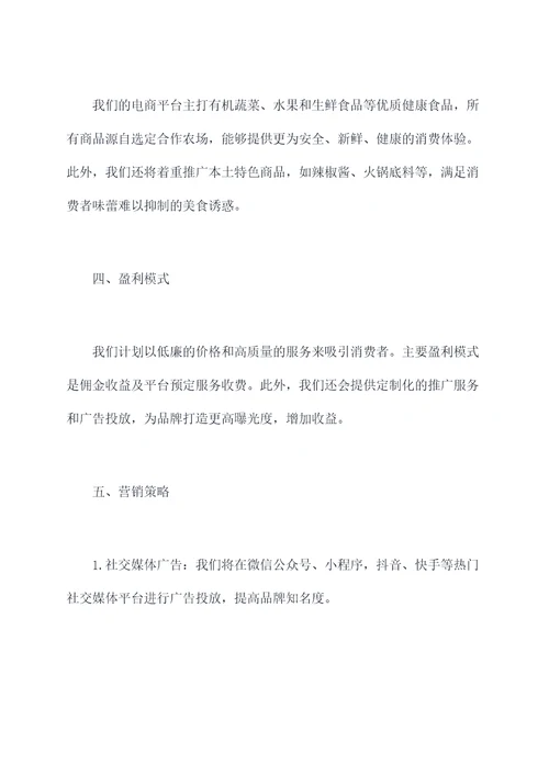 重庆电商创业计划书