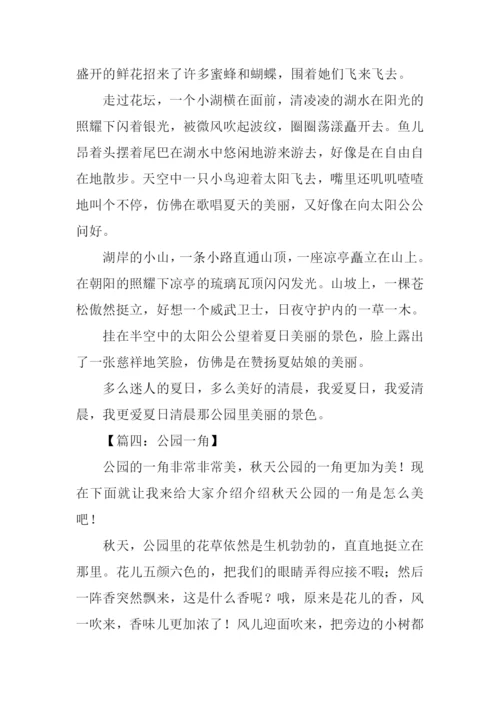 四年级作文公园一角-1.docx