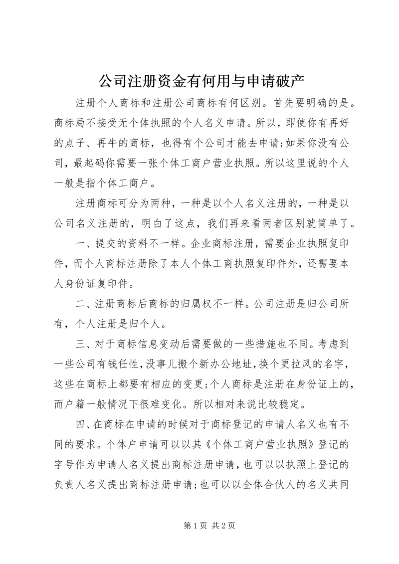 公司注册资金有何用与申请破产 (2).docx