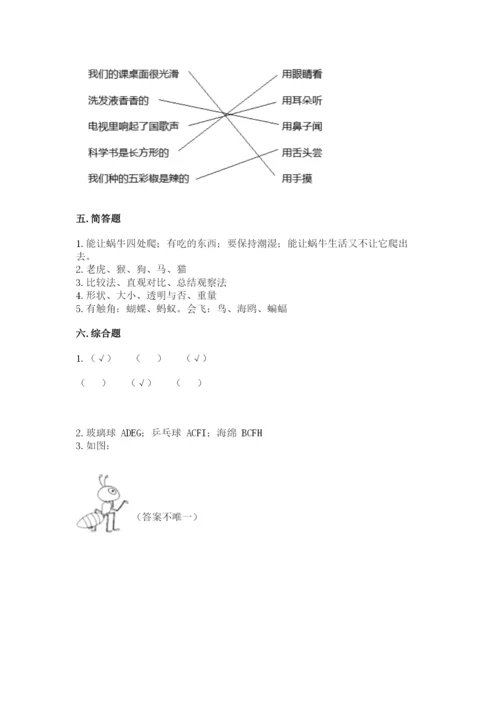 教科版一年级下册科学期末测试卷（培优）.docx