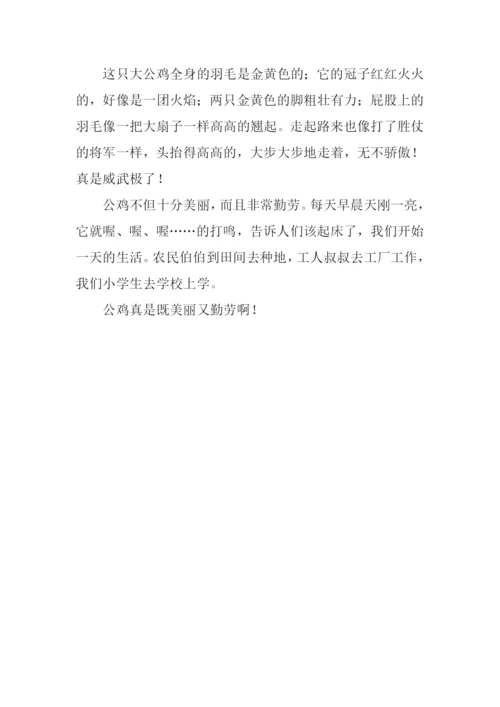 描写动物的作文-1.docx