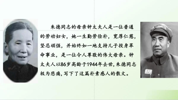 第14课 《回忆我的母亲》课件