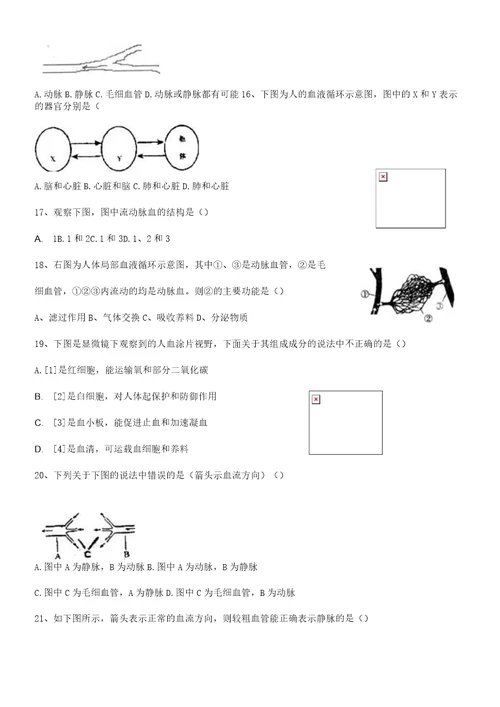 血液循环专题练习及答案