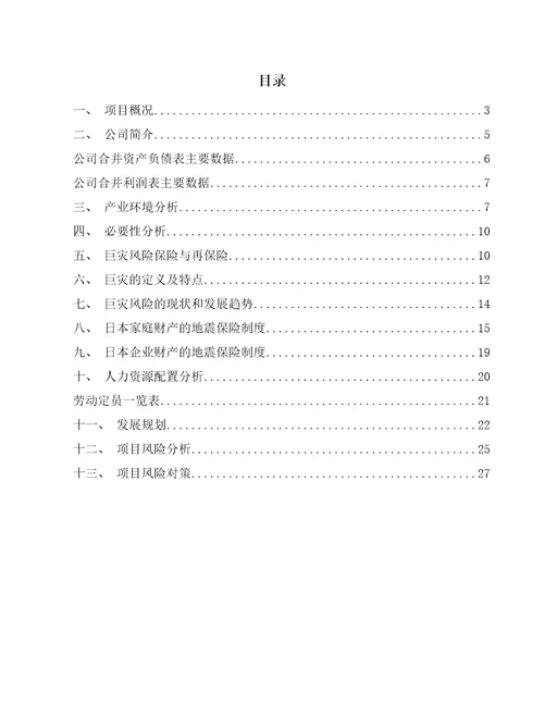 存储芯片公司巨灾风险管理 参考