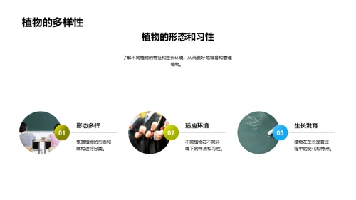 探索植物生长