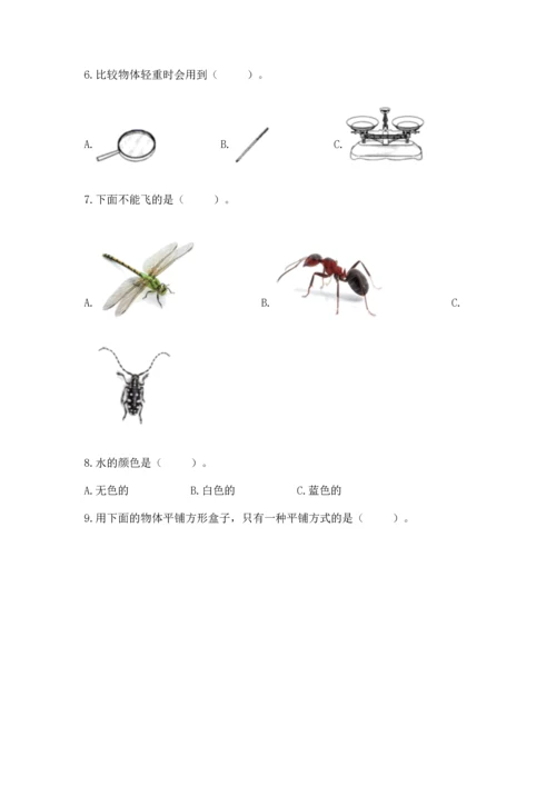 教科版一年级下册科学期末测试卷精品（黄金题型）.docx