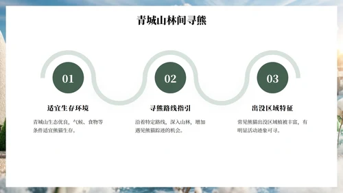 绿色插画毛毡风可爱熊猫城市旅游攻略PPT模板
