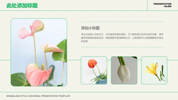 绿色文艺清新风总结汇报PPT演示模板