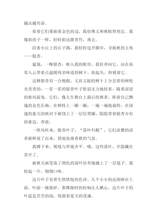 走进秋天作文800字-1.docx