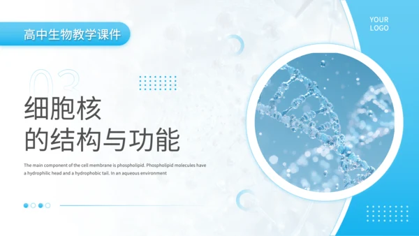 蓝色简约风细胞结构探秘PPT