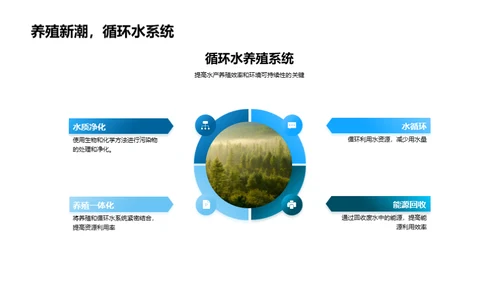 水产养殖提效途径