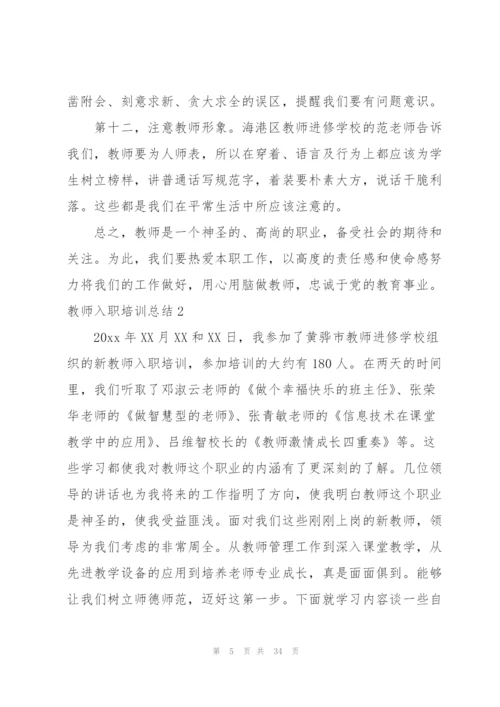 教师入职培训总结10篇.docx