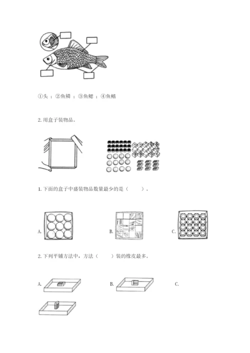 教科版小学科学一年级下册期末测试卷及参考答案【轻巧夺冠】.docx
