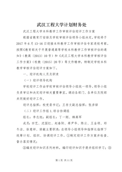 武汉工程大学计划财务处 (5).docx