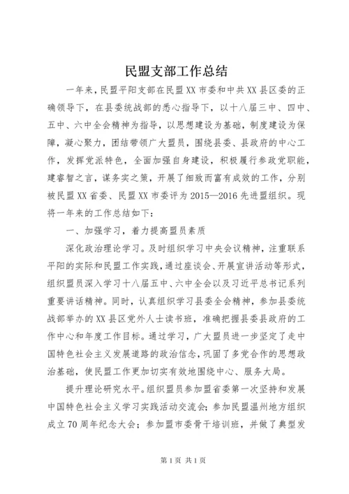 民盟支部工作总结 (2).docx