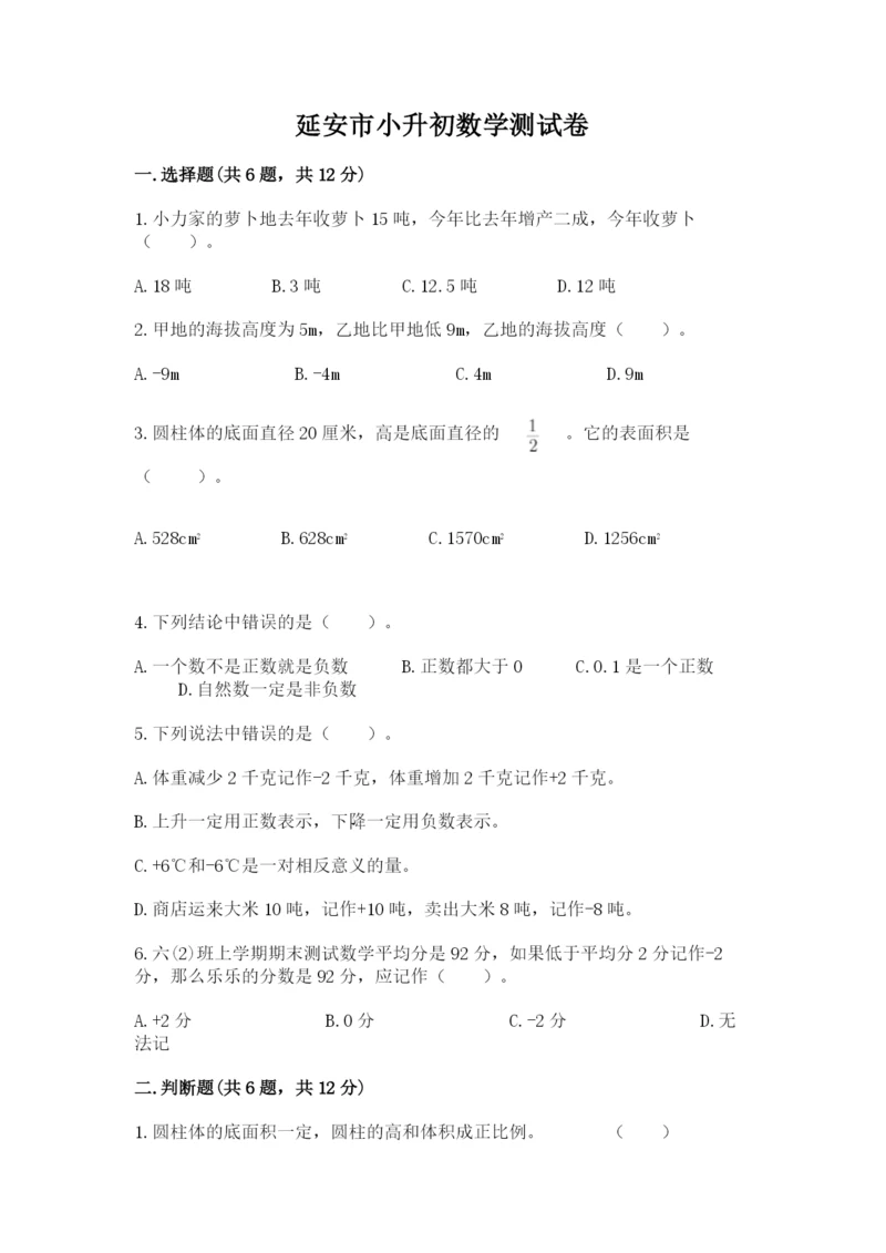 延安市小升初数学测试卷新版.docx