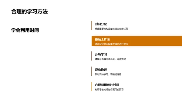 学习效率之道