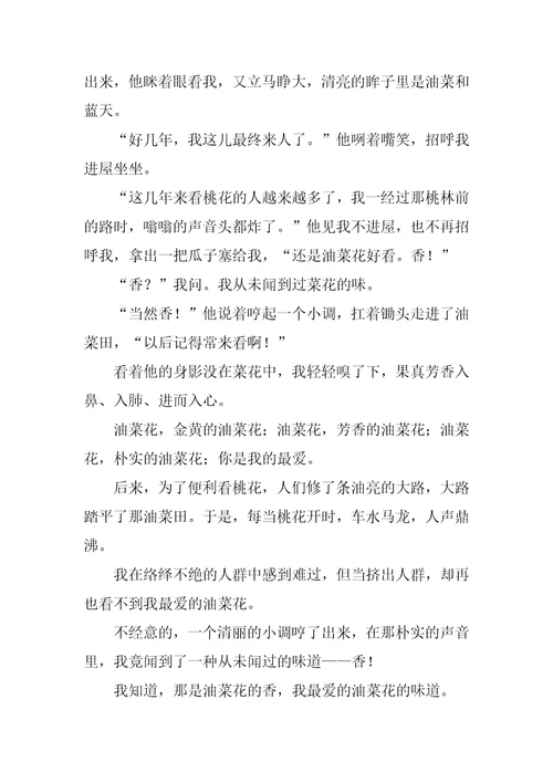 我最爱的人作文精彩5篇