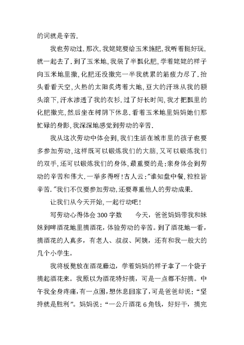写劳动心得体会300字数