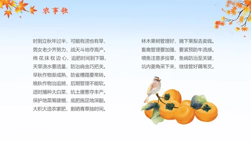 简约插画枫叶立秋二十四节气立秋科普知识科普PPT