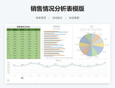 销售情况分析表模版
