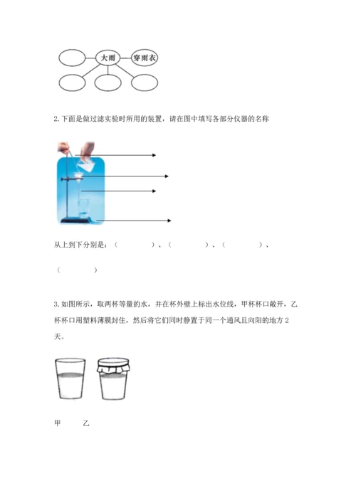 教科版三年级上册科学《期末测试卷》（全优）word版.docx