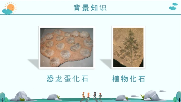 《活化石》语文课件PPT模板