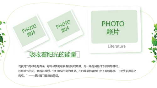 绿色清新致青春毕业季大学毕业纪念册相册PPT