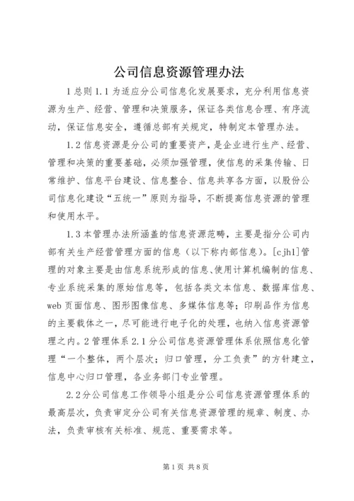 公司信息资源管理办法 (3).docx